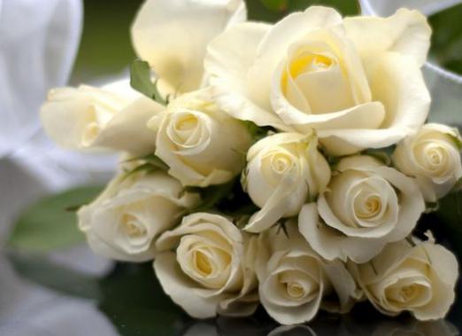До чого сняться білі троянди?