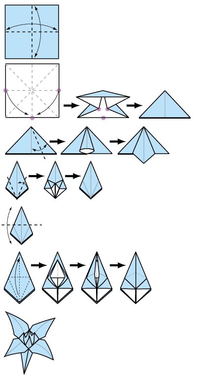 Як зробити лілію?